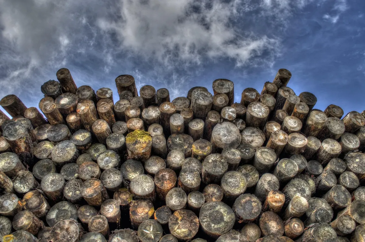 How to Season Firewood Fast: 7 Methods That Actually Work