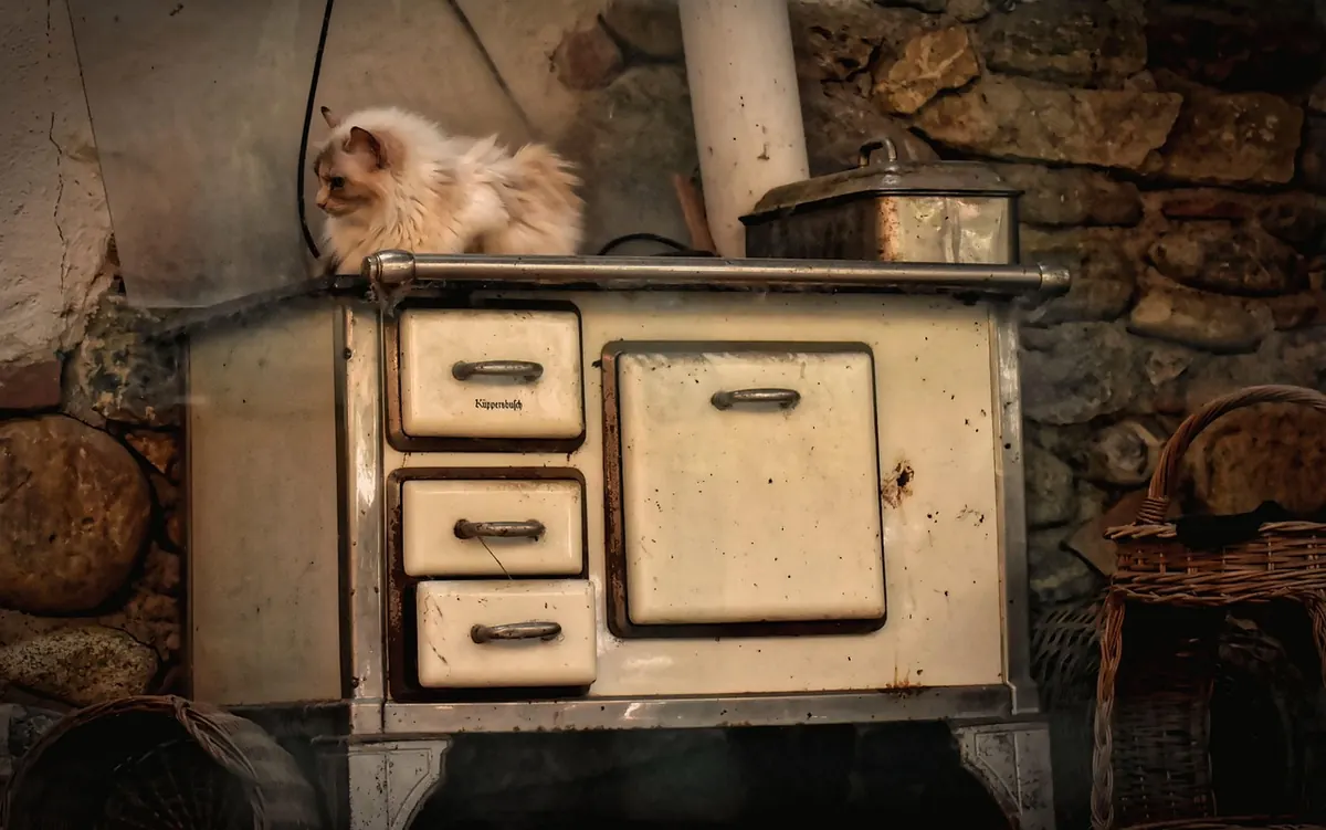 Pellet Stove vs. Cord Wood Stove: Cost, Convenience, and Heating Power